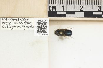 Media type: image;   Entomology 790498 Aspect: Labels